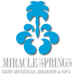 Miracle Springs Resort & Spa logo