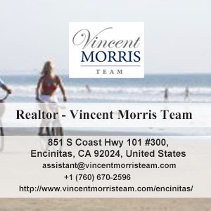 Realtor - Vincent Morris Team logo