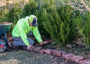 Palacios Lawn Service logo