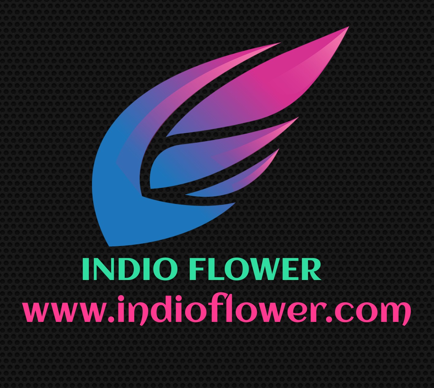 Indio flower logo