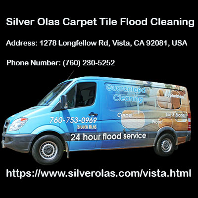 Silver Olas Carpet Tile Flood Cleaning logo